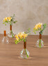 5in Tall Archimedes Amber Tip Glass Vase, Mini, Set of 4 Decor Jamali Garden