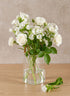 6.5in Tall Le Sac Bag Glass Vase, Mini Decor Jamali Garden