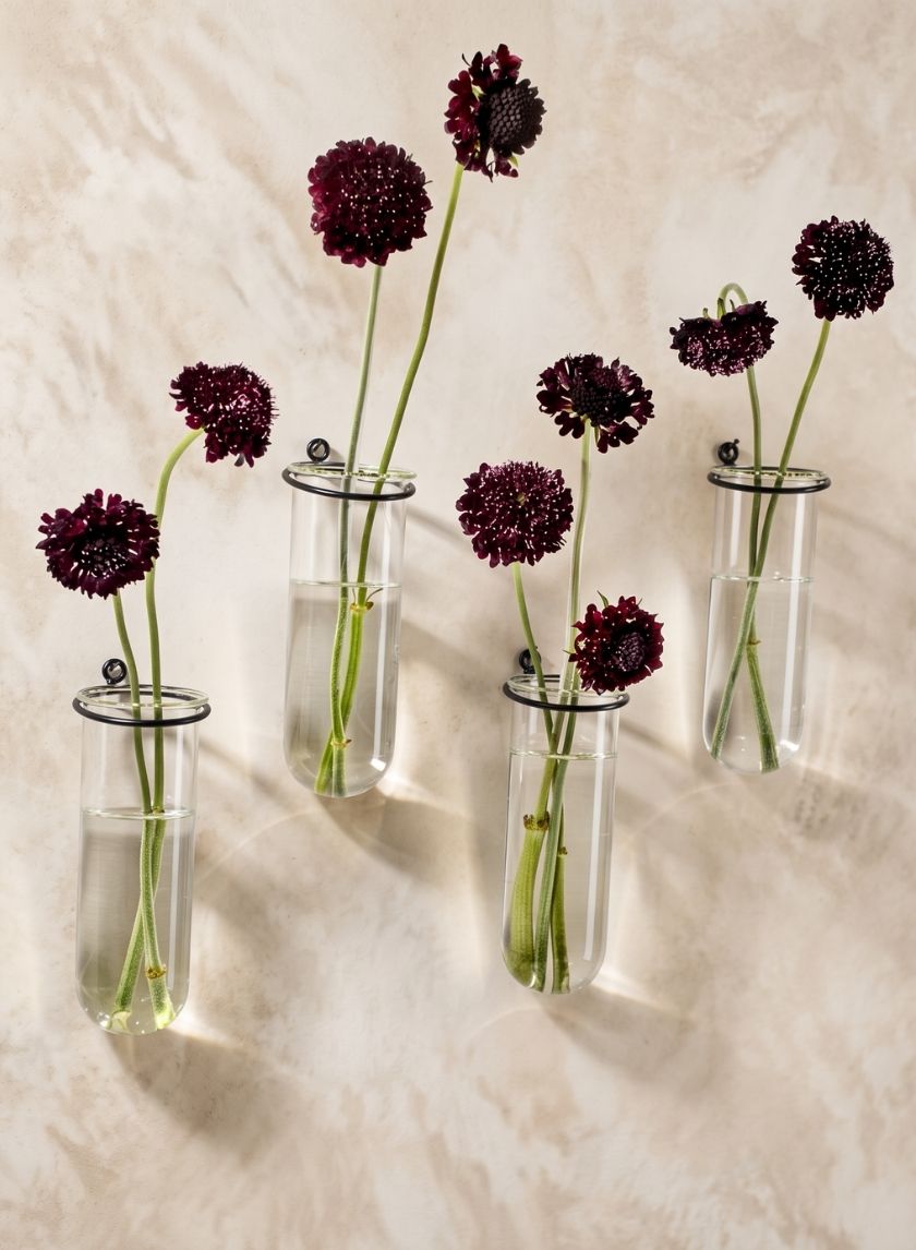 5.75in Tall Glass Tube Vase With Iron Ring, Set of 4 Decor Jamali Garden