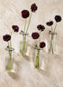 5.75in Tall Glass Tube Vase With Iron Ring, Set of 4 Decor Jamali Garden