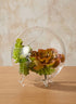 6in Wide Greenhouse Glass Bowl Decor Jamali Garden