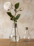 Glass Light Bulb Vases Decor Jamali Garden