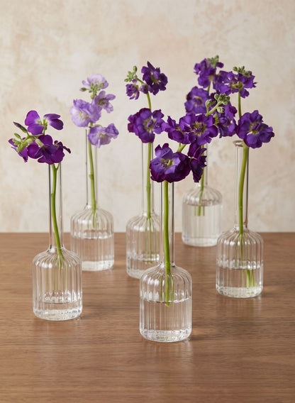 6.5in Tall Optical Glass Cylinder Bud Vase, Set of 6 Decor Jamali Garden