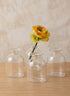 4 1/2in Tall Short Bottle Bud Glass Vase, Set of 4 Decor Jamali Garden