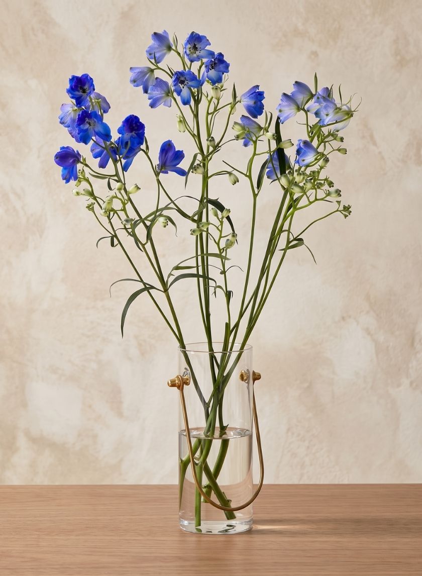 6in Tall Gold Handle Glass Vase Decor Jamali Garden