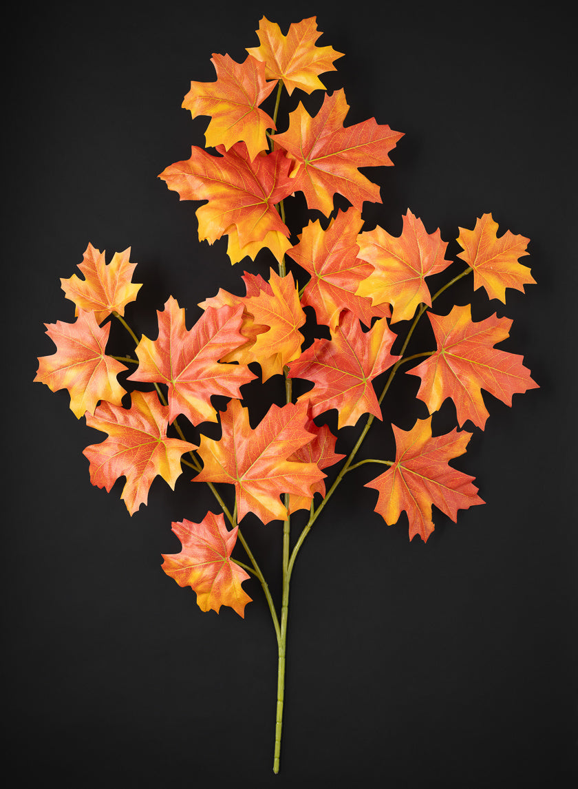 28in Long Single Big Leaf Maple with Branches and Leaves, Bundle