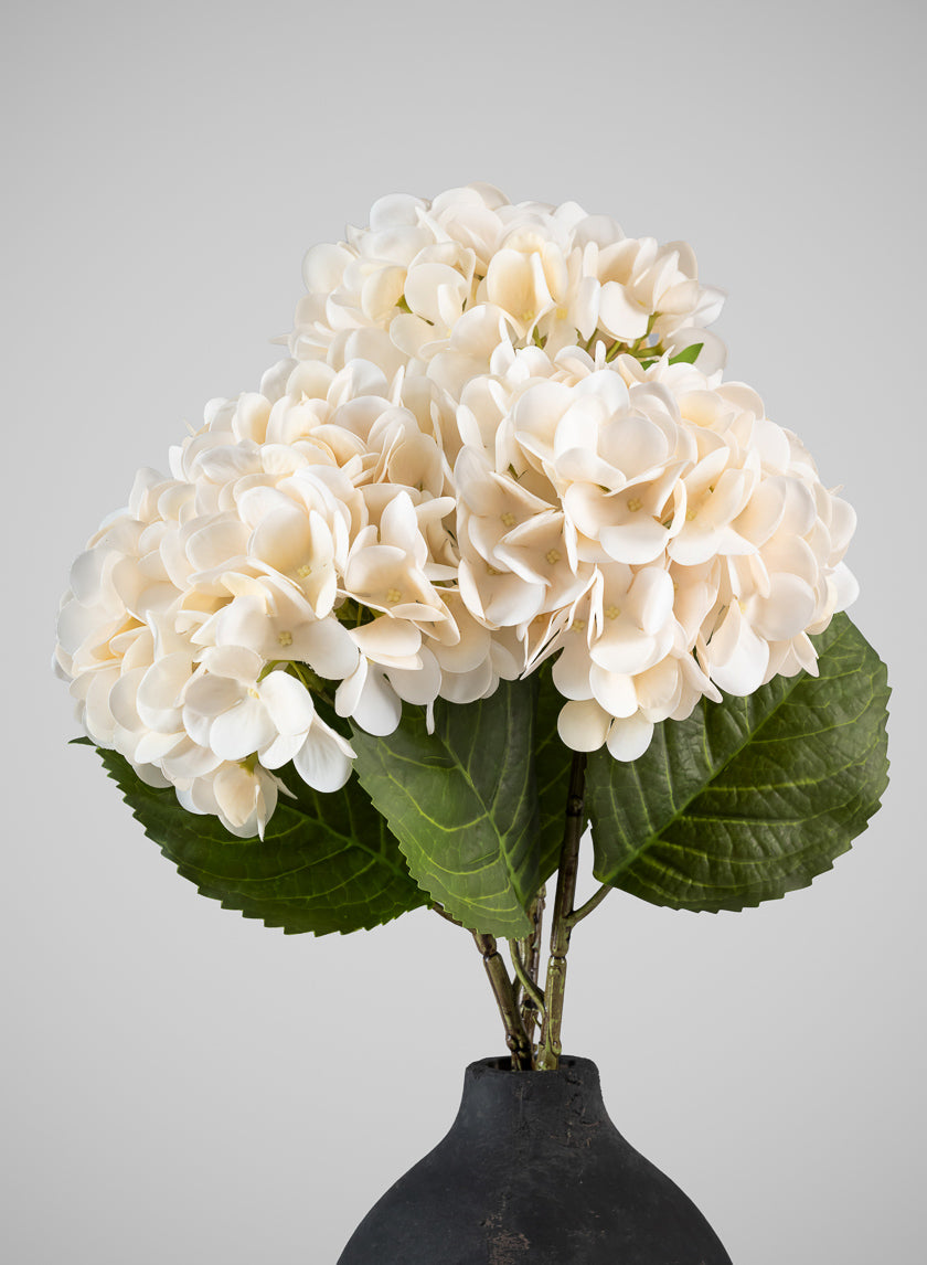 22in Long White Hydrangea Spray, Case of 12 – Jamali Garden