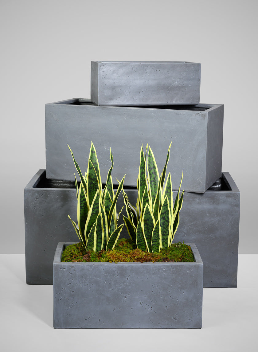 grey rectangular plant pots Longine Patio All Weather Light Weight Speckle Grey Polyresin Rectangu –  Jamali Garden