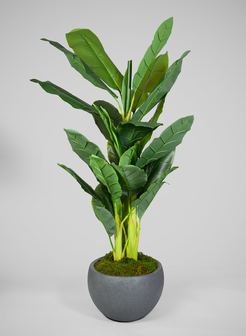 All Weather Light Weight Speckle Black Polyresin Planters Decor Jamali Garden