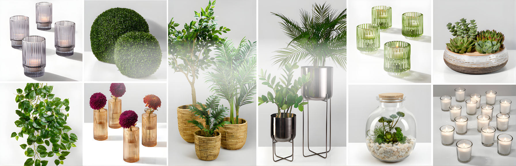 Collage of various indoor plants and decorative items on a white background