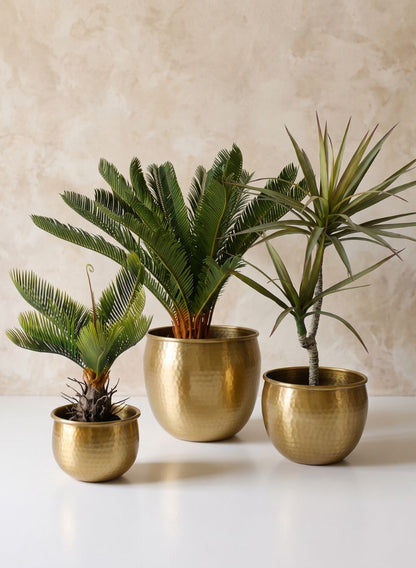 Devdas Brass Look Aluminum Indoor Garden Pot Decor Jamali Garden