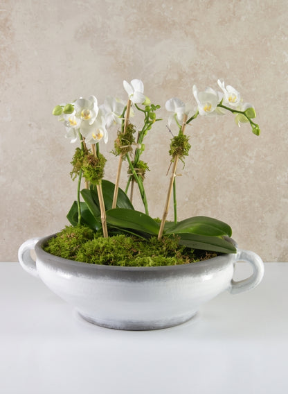 15in Wide Andra Ceramic White Glazed Bowl Decor Jamali Garden