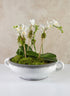 15in Wide Andra Ceramic White Glazed Bowl Decor Jamali Garden