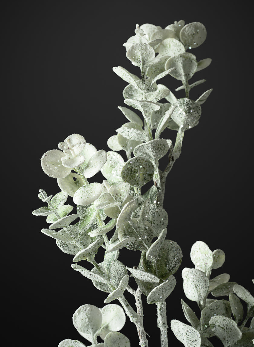 30in Long Iced Eucalyptus Pick, Case of 12 Decor Jamali Garden