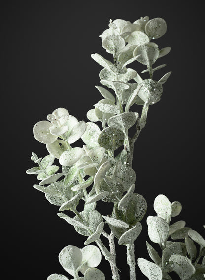 30in Long Iced Eucalyptus Pick, Case of 12 Decor Jamali Garden