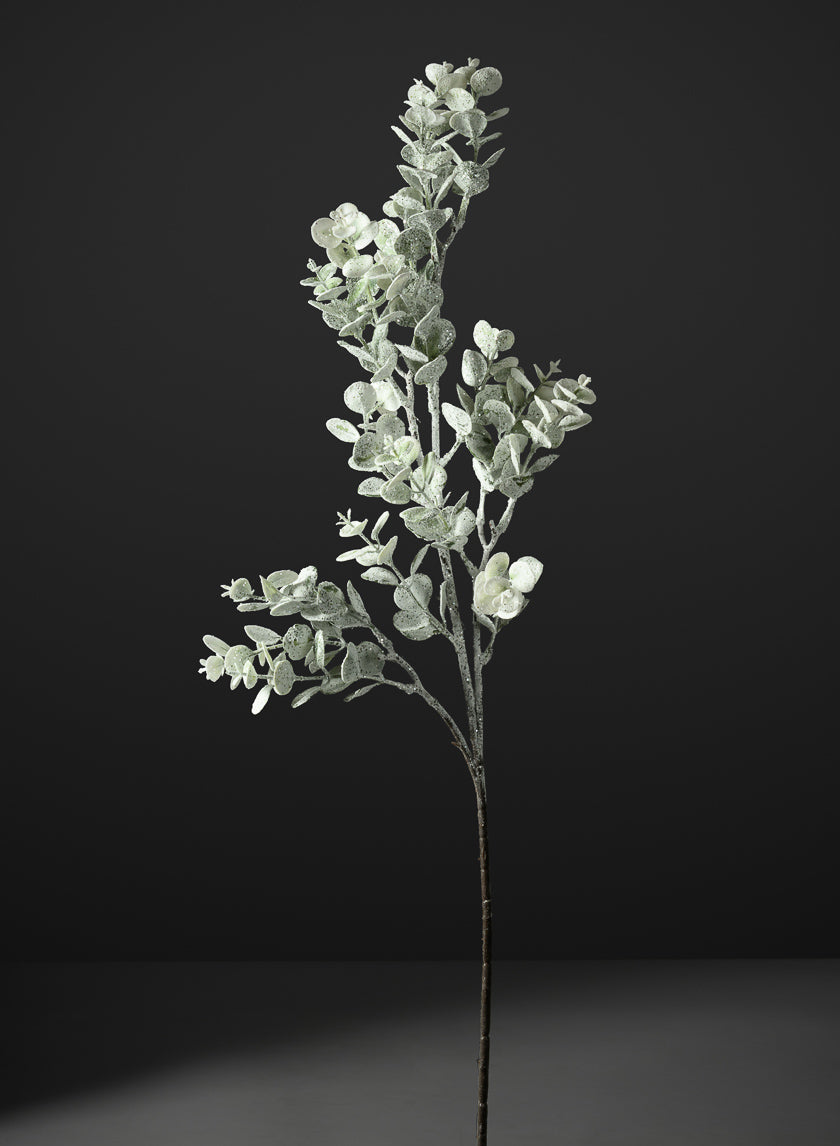 30in Long Iced Eucalyptus Pick, Case of 12 Decor Jamali Garden