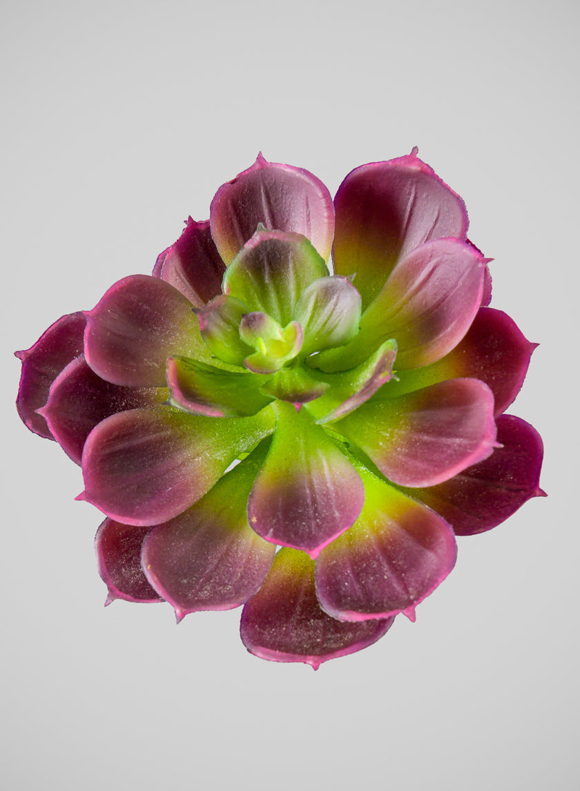 6in Long Purple Echeveria Pick, Case of 12 Decor Jamali Garden