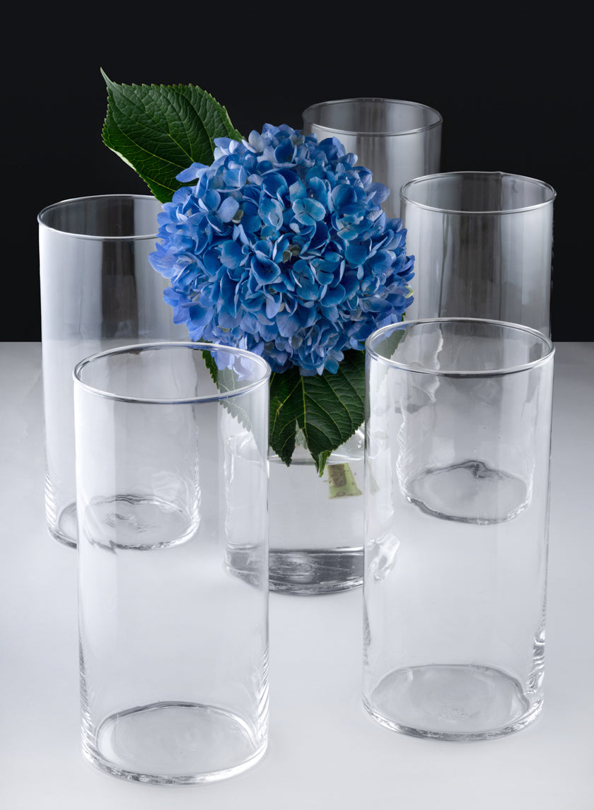 A set of six Best Value Glass Cylinder Vases is displayed, one holding a blue hydrangea with green leaves and five left empty, all arranged against a black and white background.