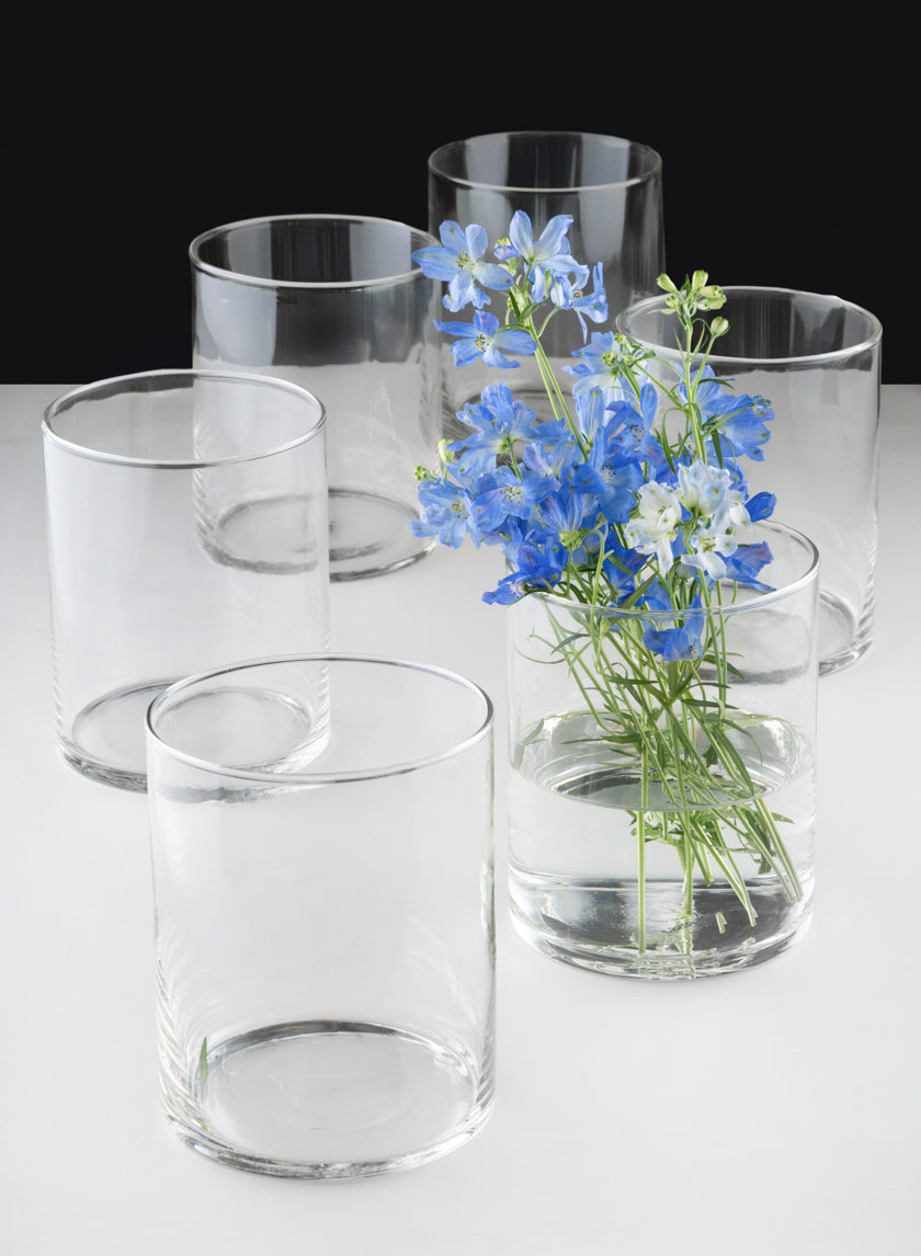 Six Best Value Glass Cylinder Vases (set of 6) are arranged on a white surface with a black background. One vase is filled with water and holds blue and white flowers; the remaining vases are empty.