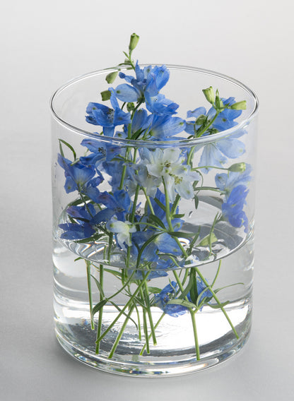 The Best Value Glass Cylinder Vase (Set of 6) displays blue and white delphinium flowers with green stems visible through its clear sides, beautifully showcased against a simple light background.