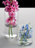 The Best Value Glass Cylinder Vase set holds fresh flowers: pink-speckled orchids fill the taller vase, while the shorter vase displays blue and white blooms, all arranged on a light gray surface with a black background.