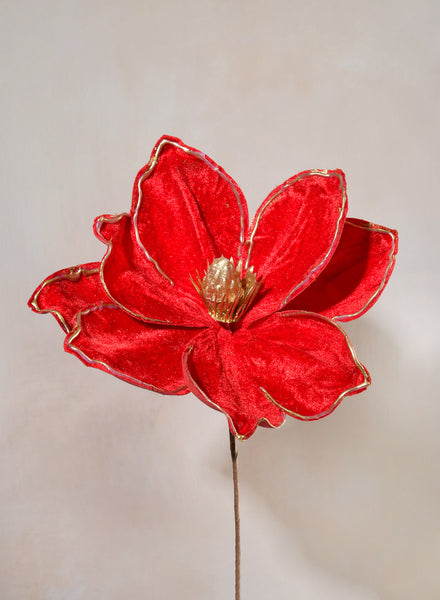 FD24-369-R__12_of_15_-