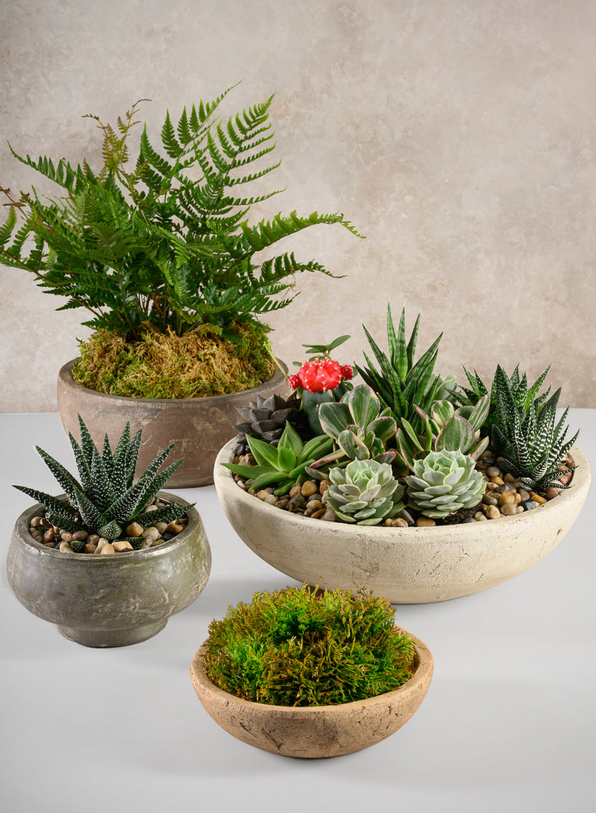 6.5in Wide Cintra Aged Black Clay Look Stoneware Bowl Decor Jamali Garden