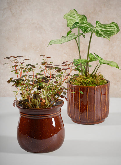 5in Tall Aveiro Oxblood Red Bell Ceramic Planter Decor Jamali Garden