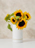7in Tall White Ceramic Cylinder Vase Decor Jamali Garden