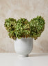 6in Tall Glazed Ceramic Pedestal Vase Decor Jamali Garden