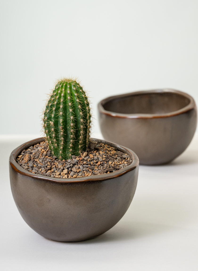 Mashiko Aged Brown Ceramic Bowl Decor Jamali Garden