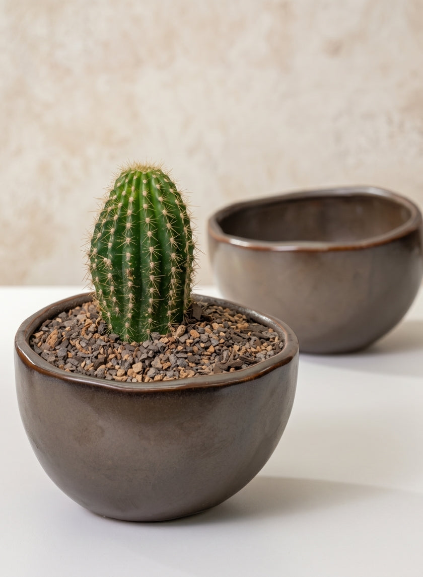 Mashiko Aged Brown Ceramic Bowl