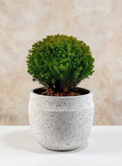 6.5in Wide White Granite Goki Bowl