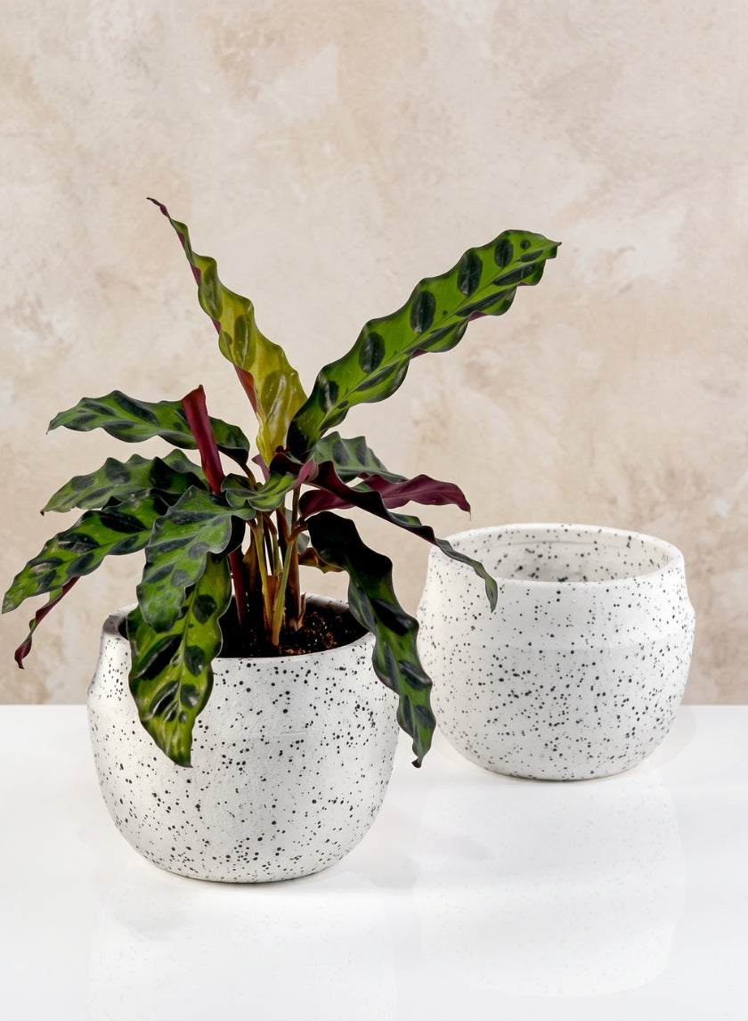 4in Wide White Granite Goki Bowl, Set of 2