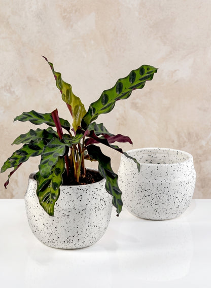 4in Wide White Granite Goki Bowl, Set of 2