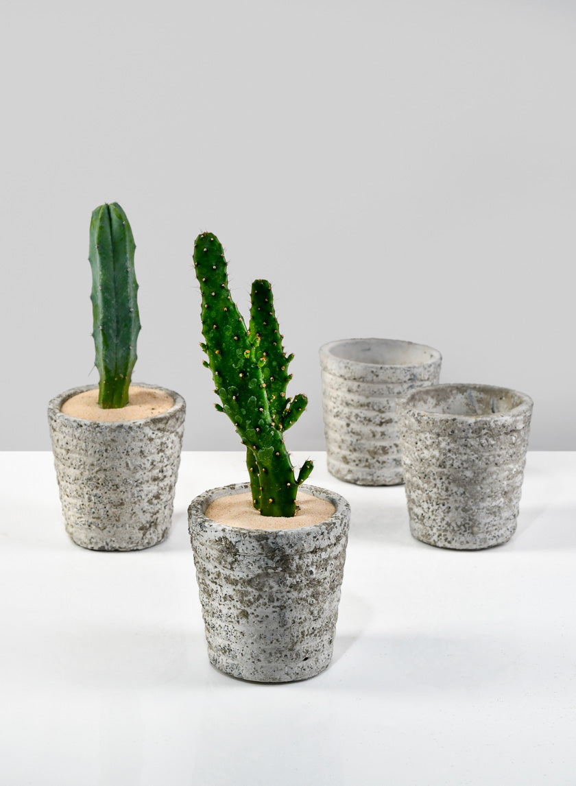 tall succulent pot 3in Tall Stone Wall Aged Planter, Set of 4