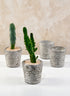 3in Tall Stone Wall Aged Planter, Set of 4 Decor Jamali Garden