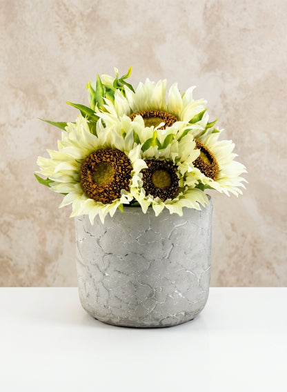 5.75in Tall Crackled Cement Pot Decor Jamali Garden