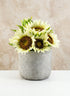 5.75in Tall Crackled Cement Pot Decor Jamali Garden