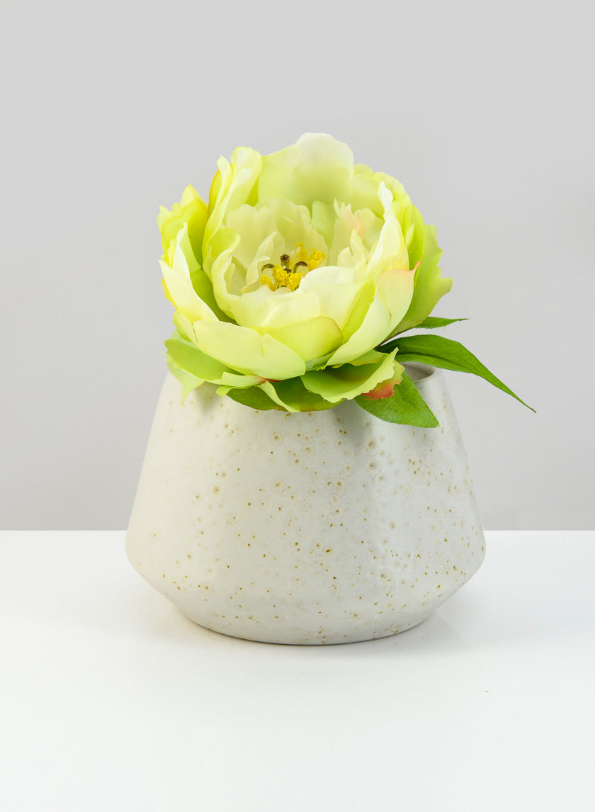 textured white planter pot 3.75in Tall Krater Rust White Pot – Jamali Garden