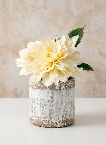 5.5in Tall Antique White Jardin Pot Decor Jamali Garden
