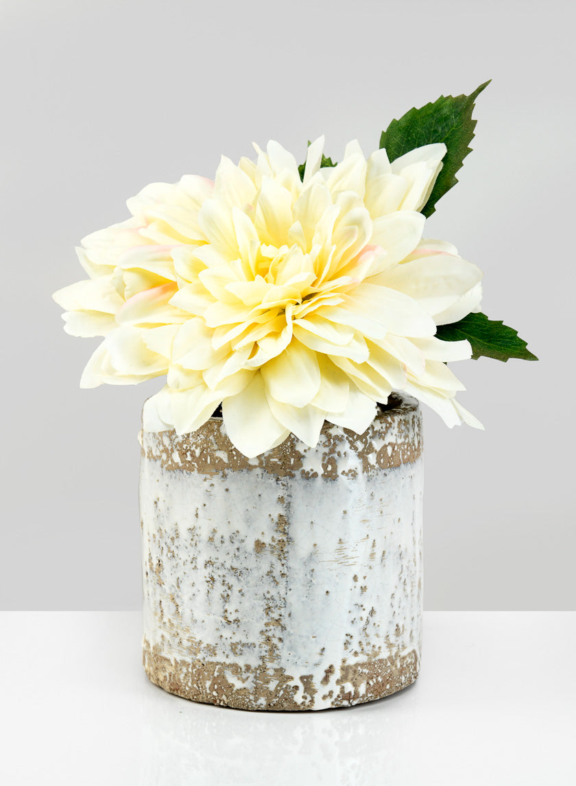 old style plant pots 5.5in Tall Antique White Jardin Pot – Jamali Garden