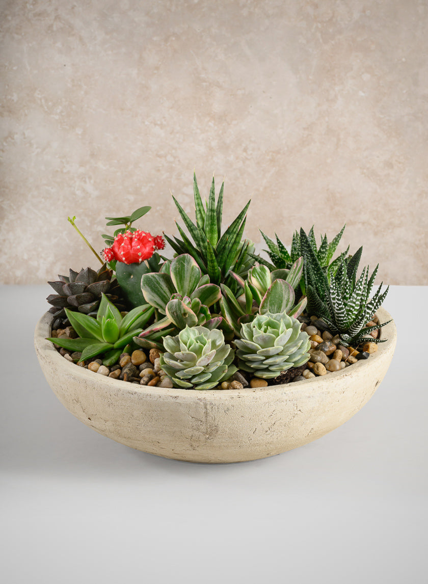 12in Wide Amadora Sand Tone Centerpiece Stonware Bowl Decor Jamali Garden