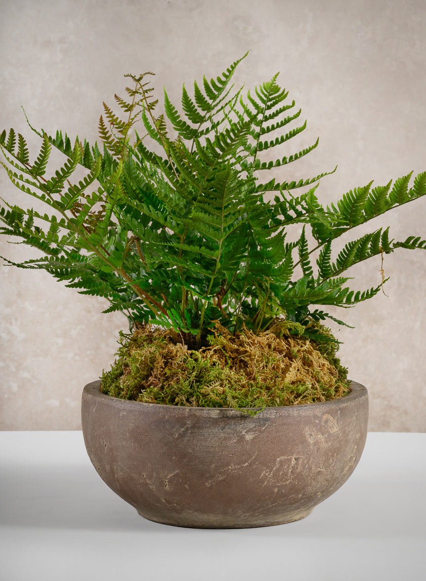 9in Wide Cintra Aged Clay Look Centerpiece Stoneware Bowl Decor Jamali Garden