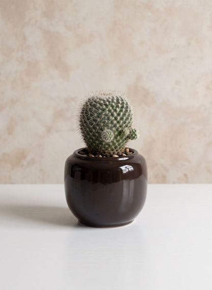 3in Alsace Noir Cachepot Vase