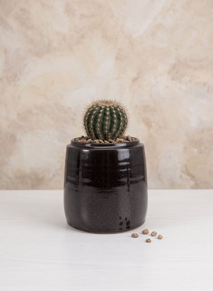5.5in Toulouse Black Cachepot