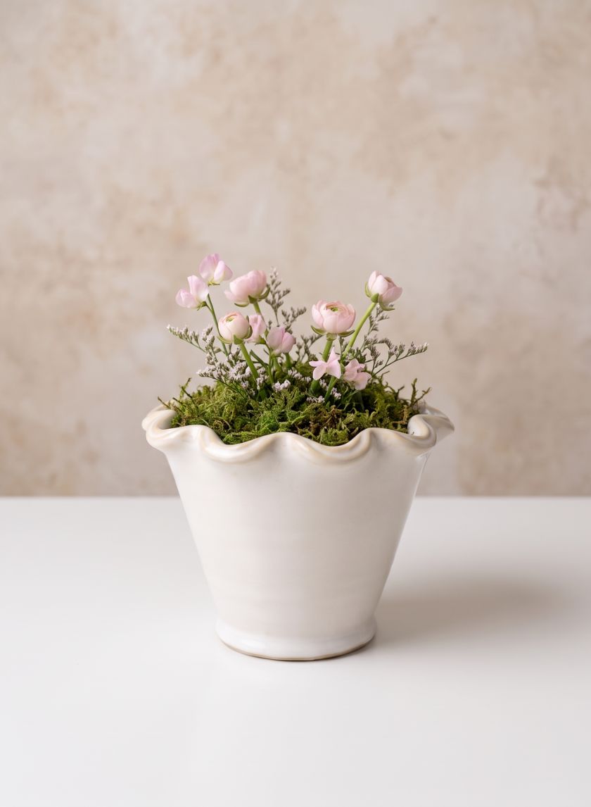 6in Avignon White Cachepot