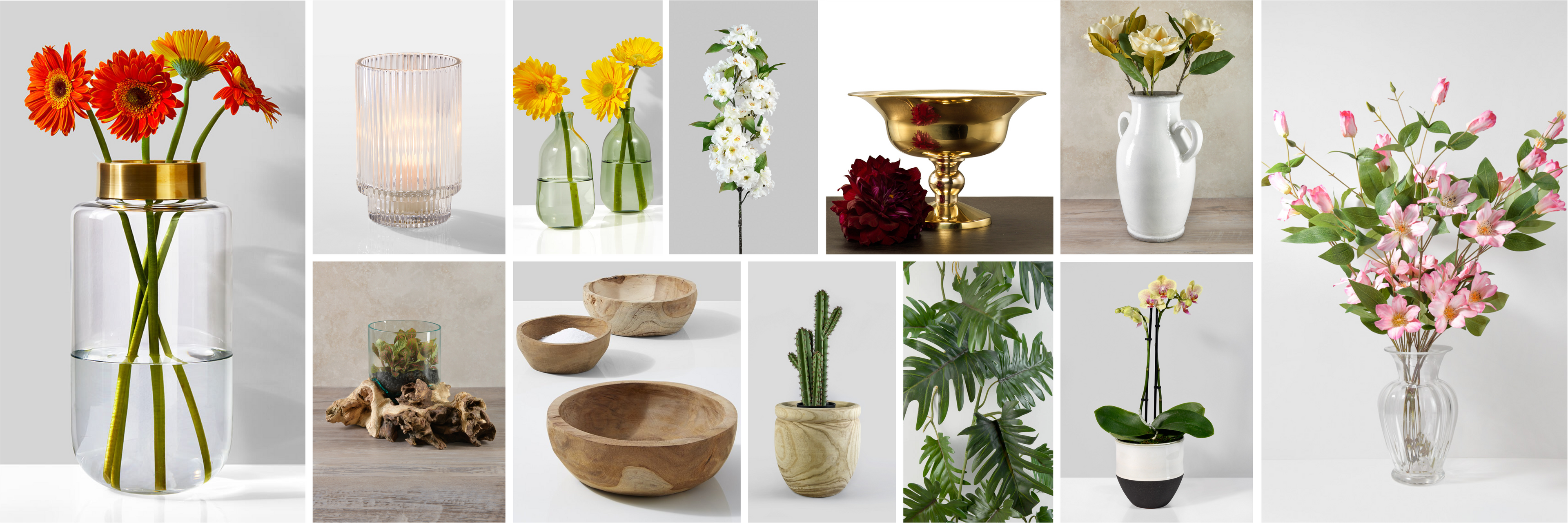 Collage of various home decor items including flowers, vases, and plants on a white background.