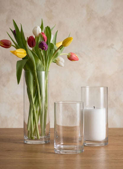 Clear Glass Cylinder Vases Decor Jamali Garden