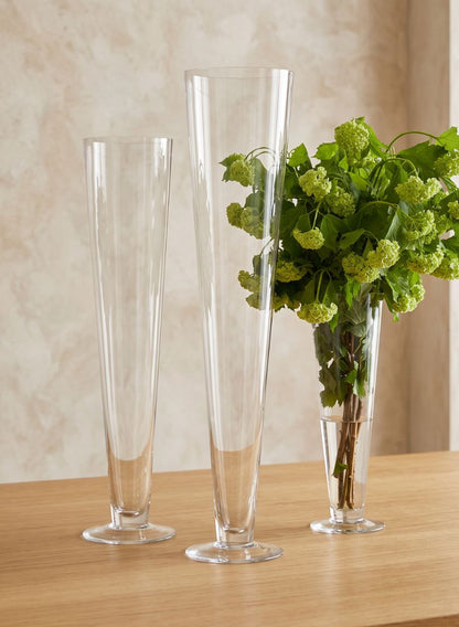 Clear Glass Trumpet Vases Decor Jamali Garden